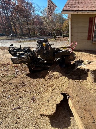 What We Do Stump Removal